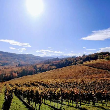 Casa In Campagna Oltrepo' Pavese Montecalvo Versiggia Екстер'єр фото