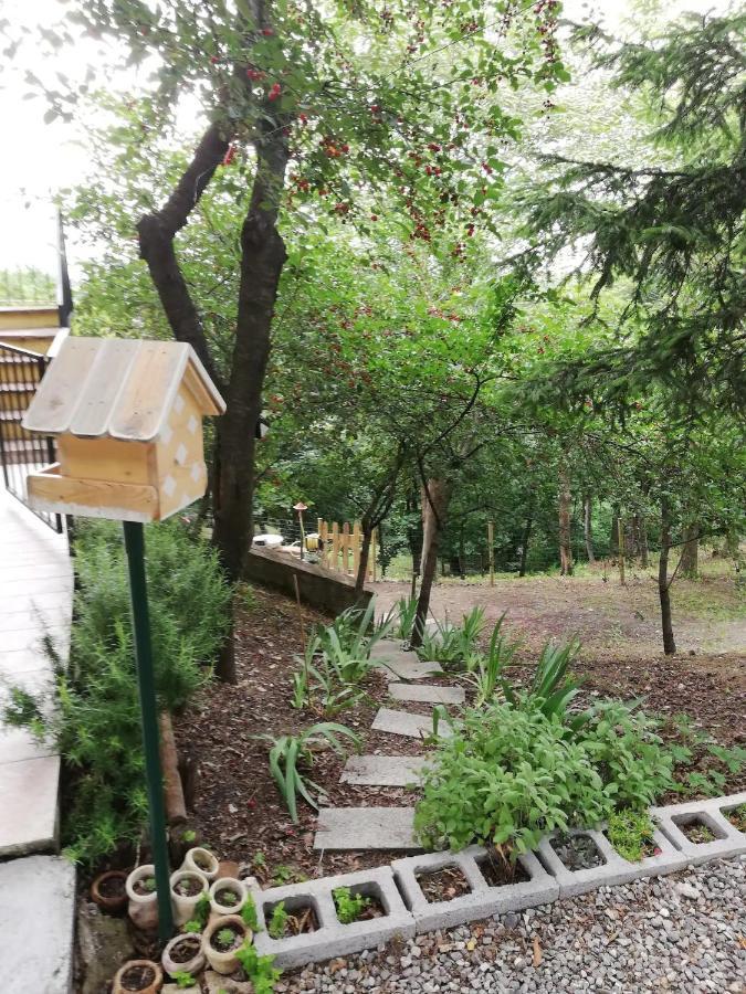 Casa In Campagna Oltrepo' Pavese Montecalvo Versiggia Екстер'єр фото